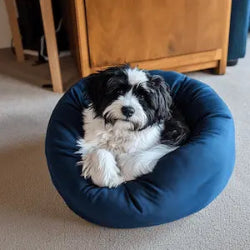 Review Harry image Review Harry image