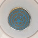Mesa 802L steam shower overhead rainfall head with blue patterned spray face