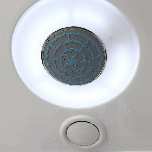 Mesa WS-609A ceiling rainfall showerhead and recessed light close-up
