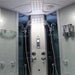 Interior of Mesa WS-701A steam shower showing digital control panel and dual handshowers