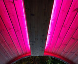 SaunaLife EMood Chromatherapy & WiFi LED Sauna Light | 48" - Topture