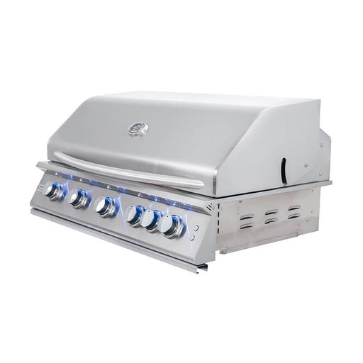 Renaissance Cooking Systems 40" Premier Built-In Grill w/ LED Lights and Back Burner RJC40AL Gas Grills Topture