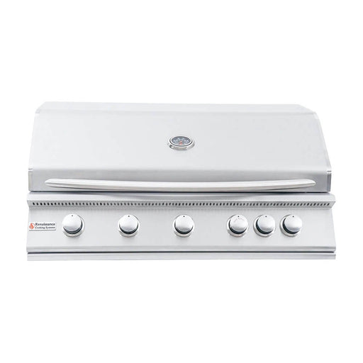 Renaissance Cooking Systems 40" Premier Built-In Grill with Rear Burner RJC40A Gas Grills Topture