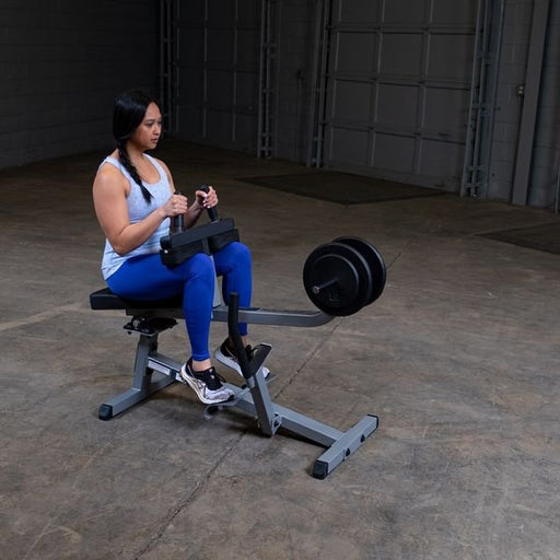 Body-Solid Body-Solid GSCR349 Commercial Seated Calf Raise GSCR349 Seated Calf Raise Topture