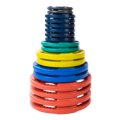 Body-Solid Tools Body-Solid ORCT Color Rubber Grip Olympic Weight Plate Set ORCT355 Weight Plate Set Topture