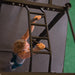 Pro Clubline by Body-Solid Body-Solid Pro Clubline SPR1000 Commercial Power Rack SPR1000 Power Rack Topture