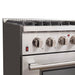 Forno Forno Galiano - Gold Professional 36" Freestanding Dual Fuel 240V Electric Door Oven Range FFSGS6156-36RED Ranges Topture