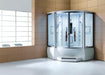 Mesa Mesa WS-608A/WS-608P Steam Shower Jetted Tub Combination WS-608A Steam Shower Topture