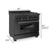 ZLINE 36" 4.6 cu. ft. Dual Fuel Range with Gas Stove and Electric Oven in Black Stainless Steel with Brass Burners (RAB-BR-36) - Topture