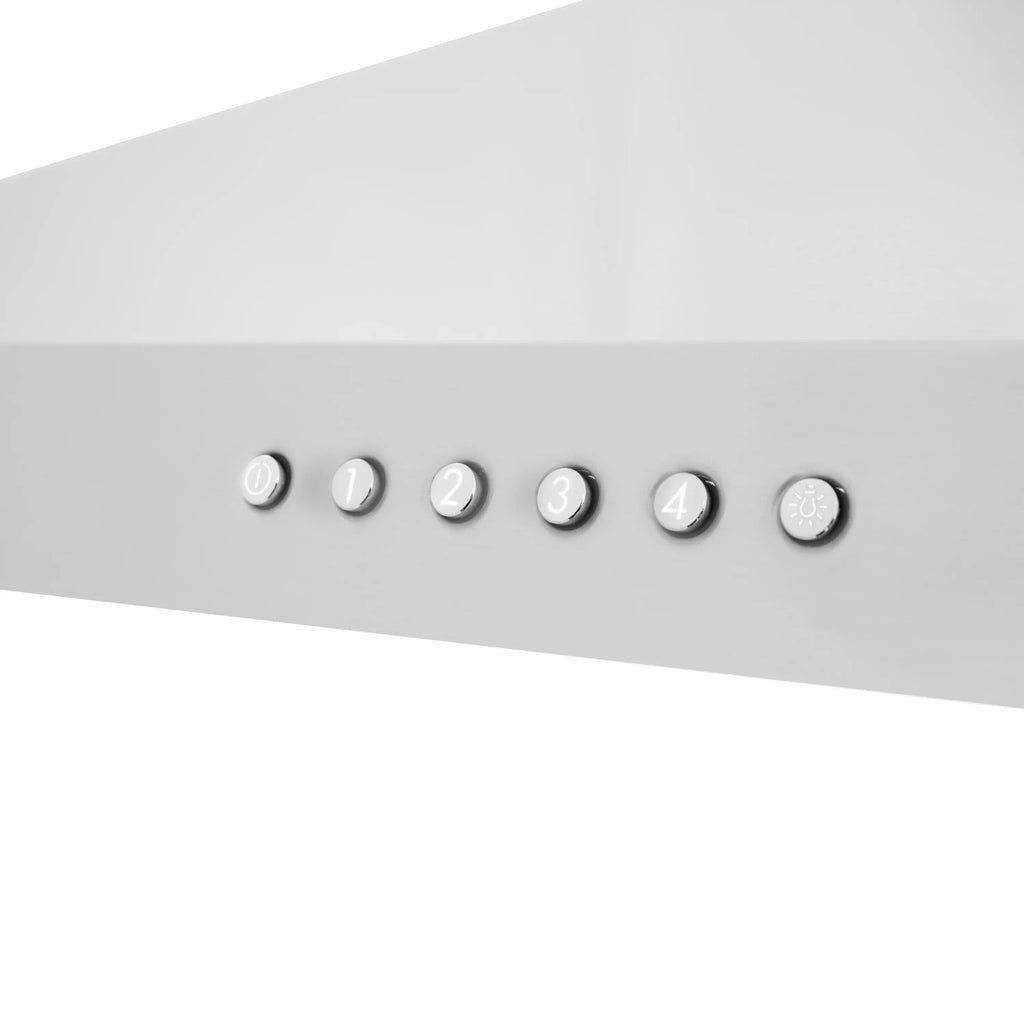 ZLINE ALP 10WL Wall Mount Range Hood in Stainless Steel - Topture